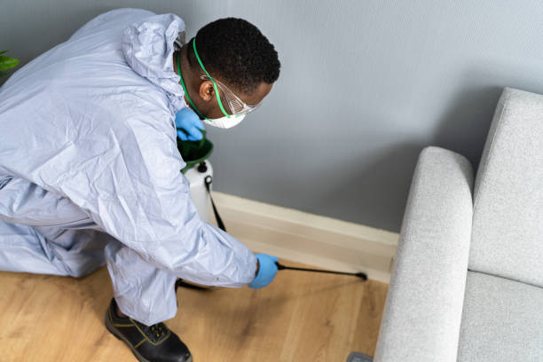 Reliable Loma Linda, CA Pest Control Solutions